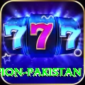 mj77 Champion Pakistan