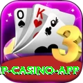 tojay VIP Casino App